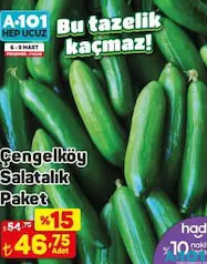 ÇENGELKÖY SALATALIK PAKET ÇENGELKÖY SALATALIK PAKET